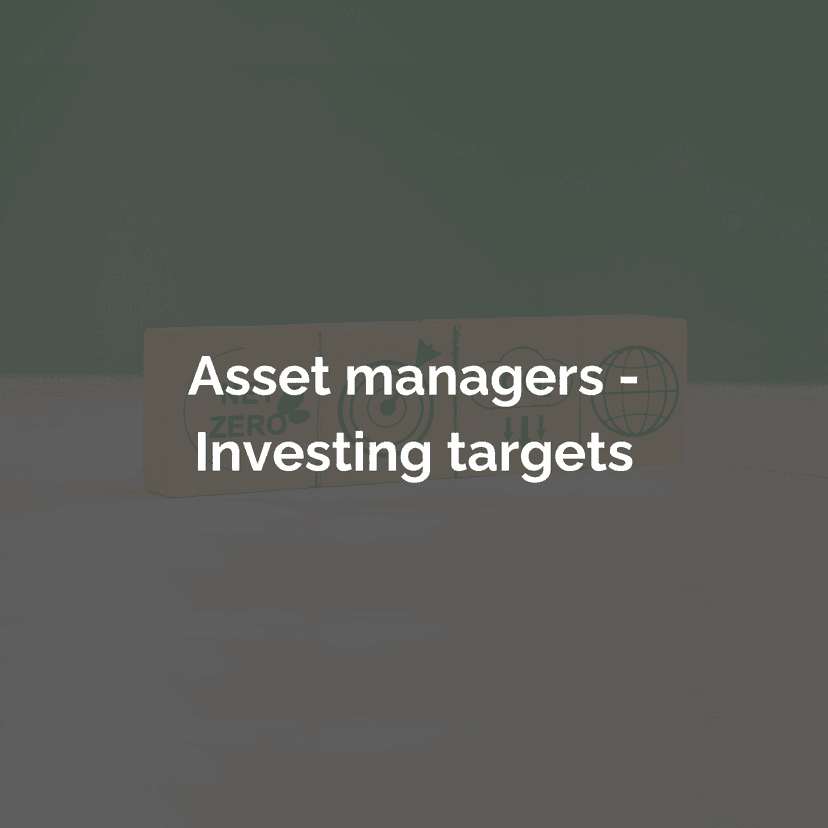 Asset Managers - Investing Targets
