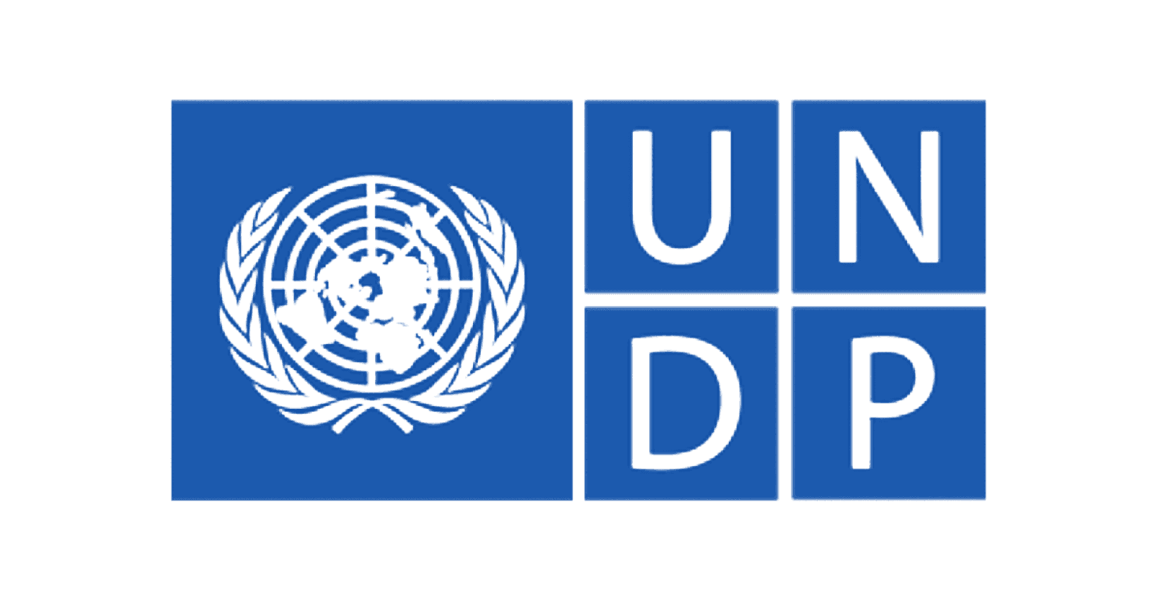 Logo UNDP